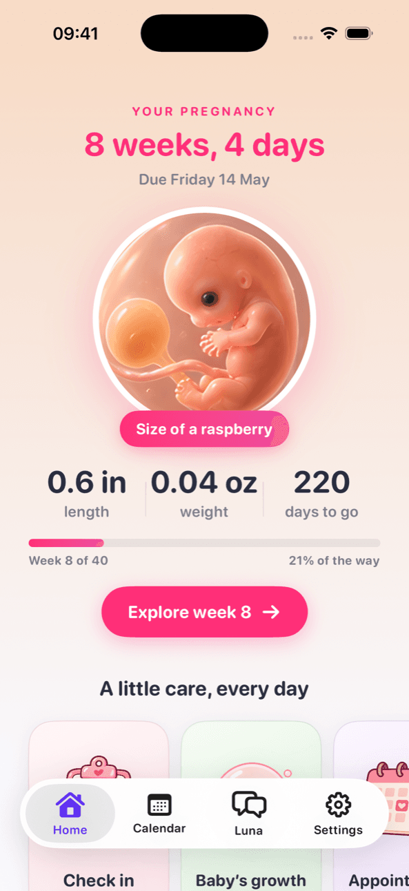 LineCheck pregnancy home screen at 8 weeks and 4 days with the baby's size, due date and days to go